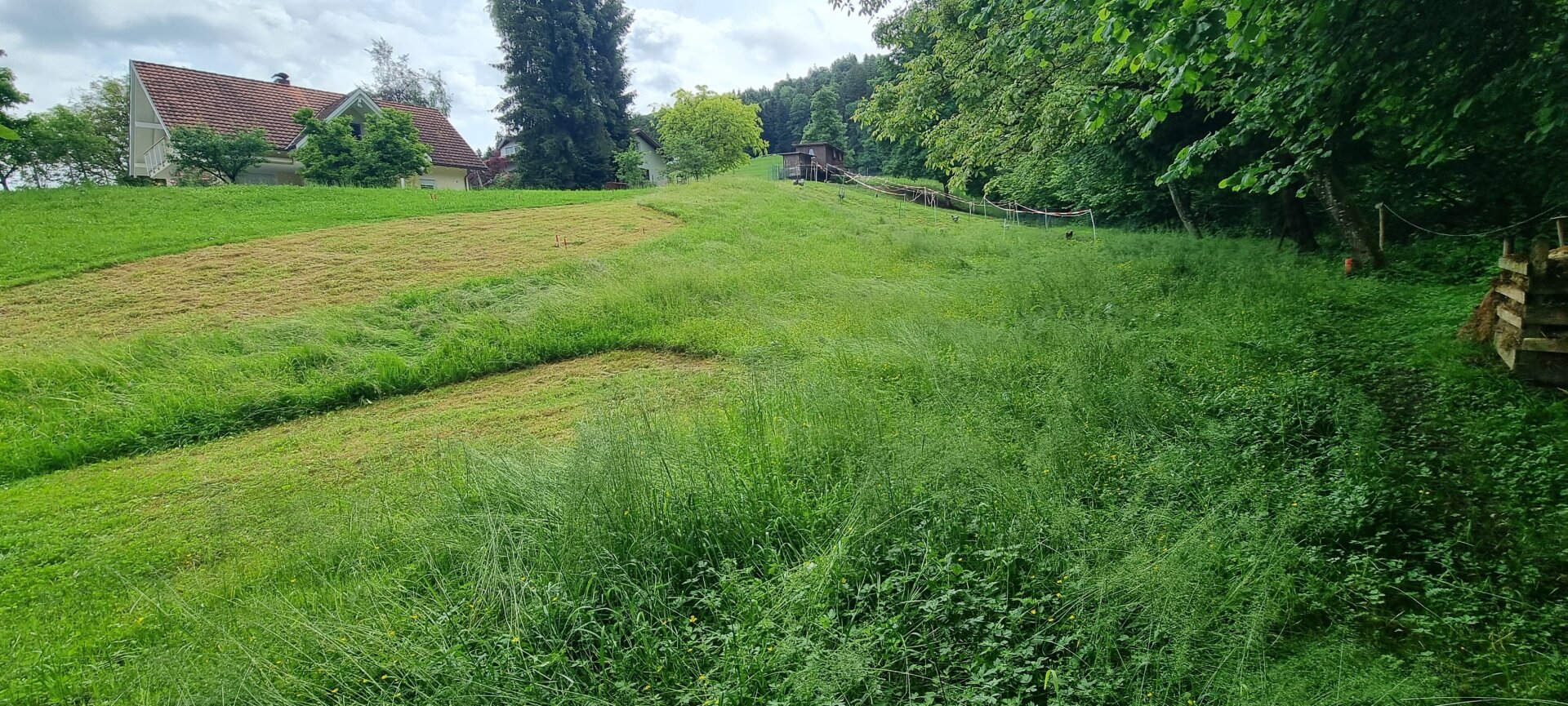 Immobilienfoto