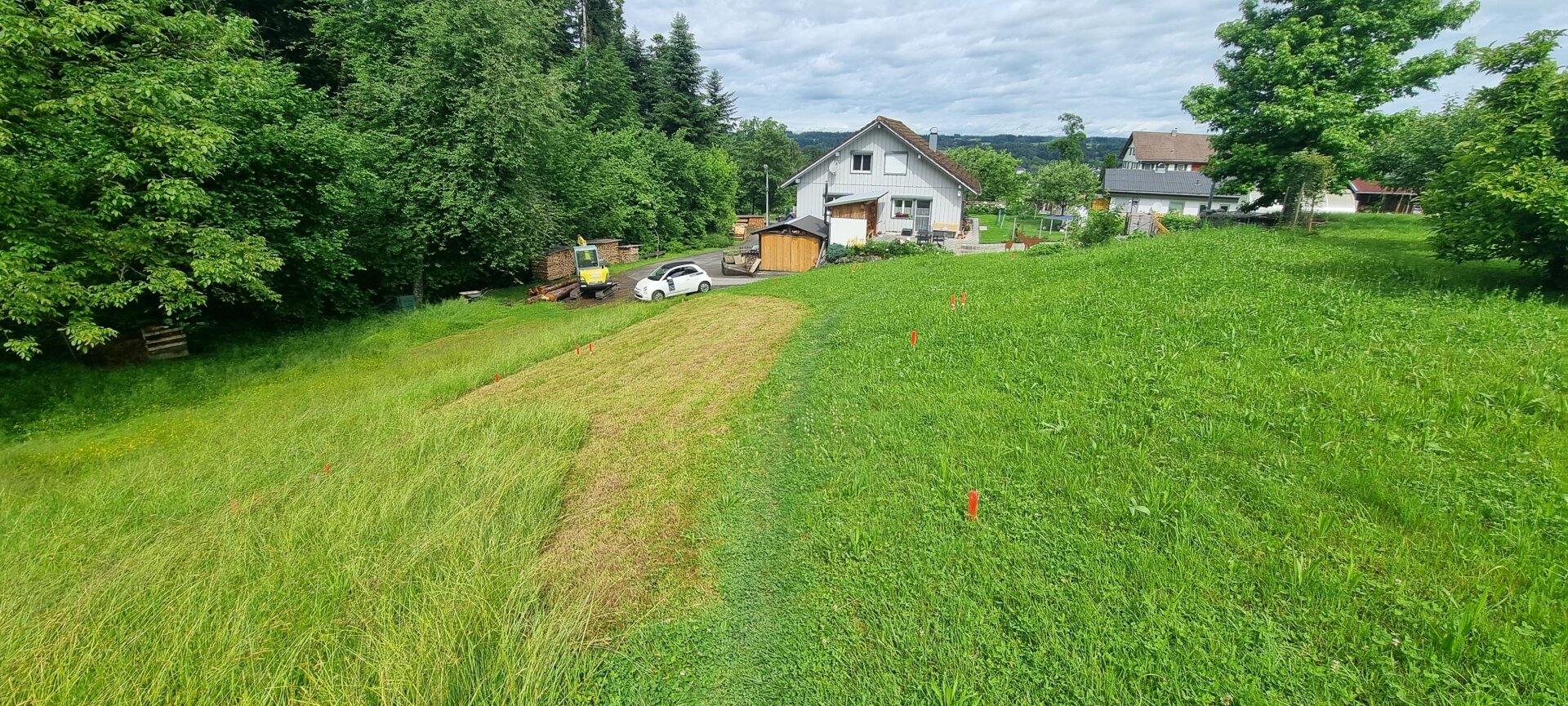 Immobilienfoto