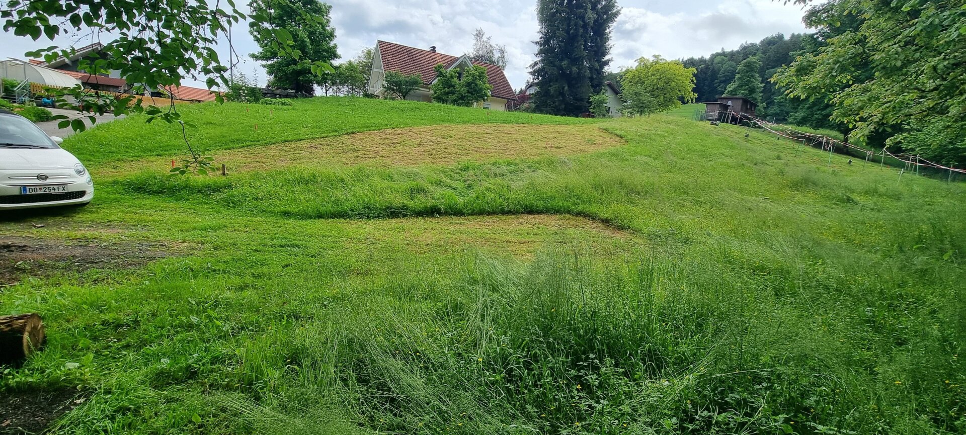 Immobilienfoto