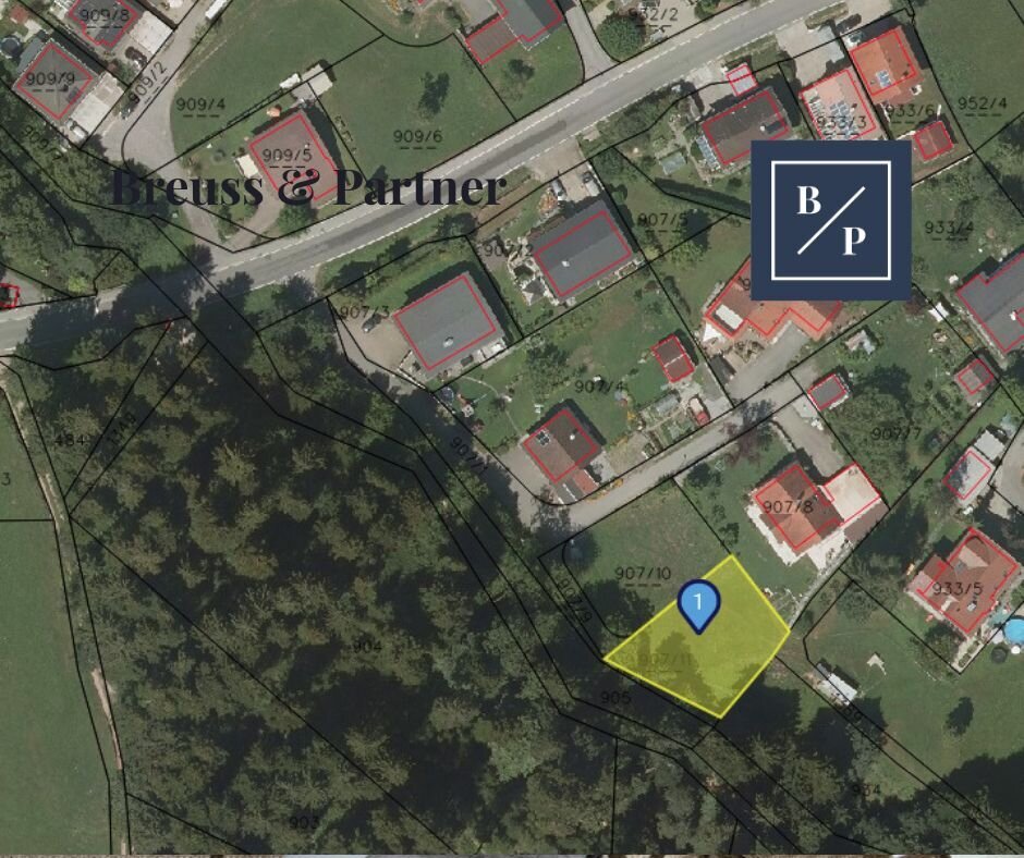 Idyllisches Grundstück in Hohenweiler! Der ideale Platz für dein Traumhaus!