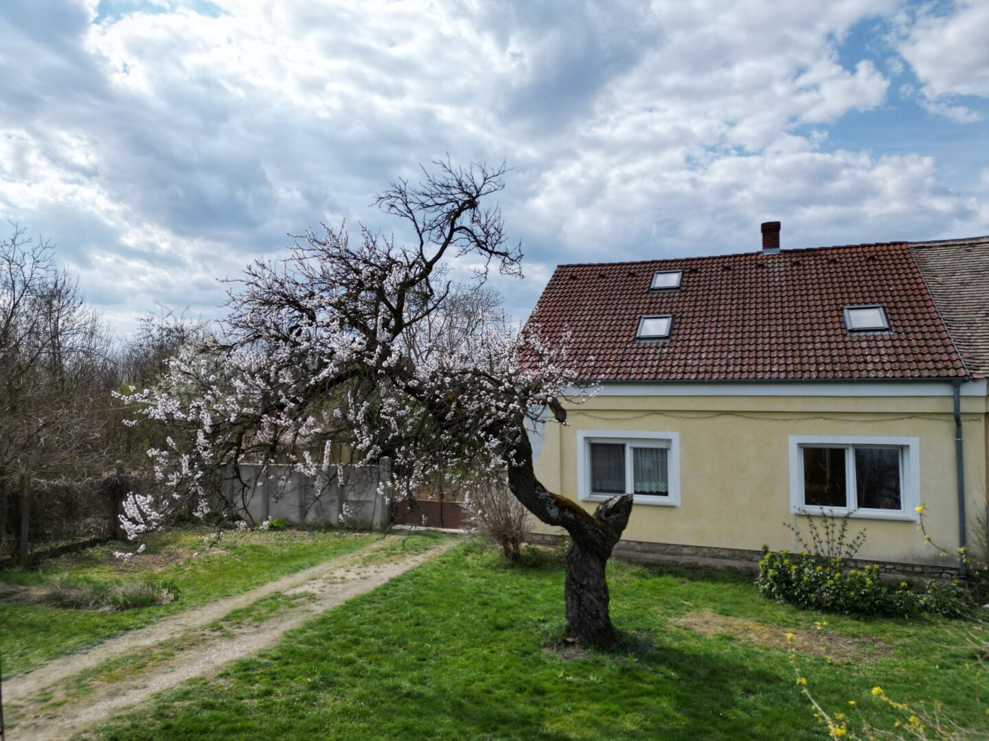 Immobilienfoto