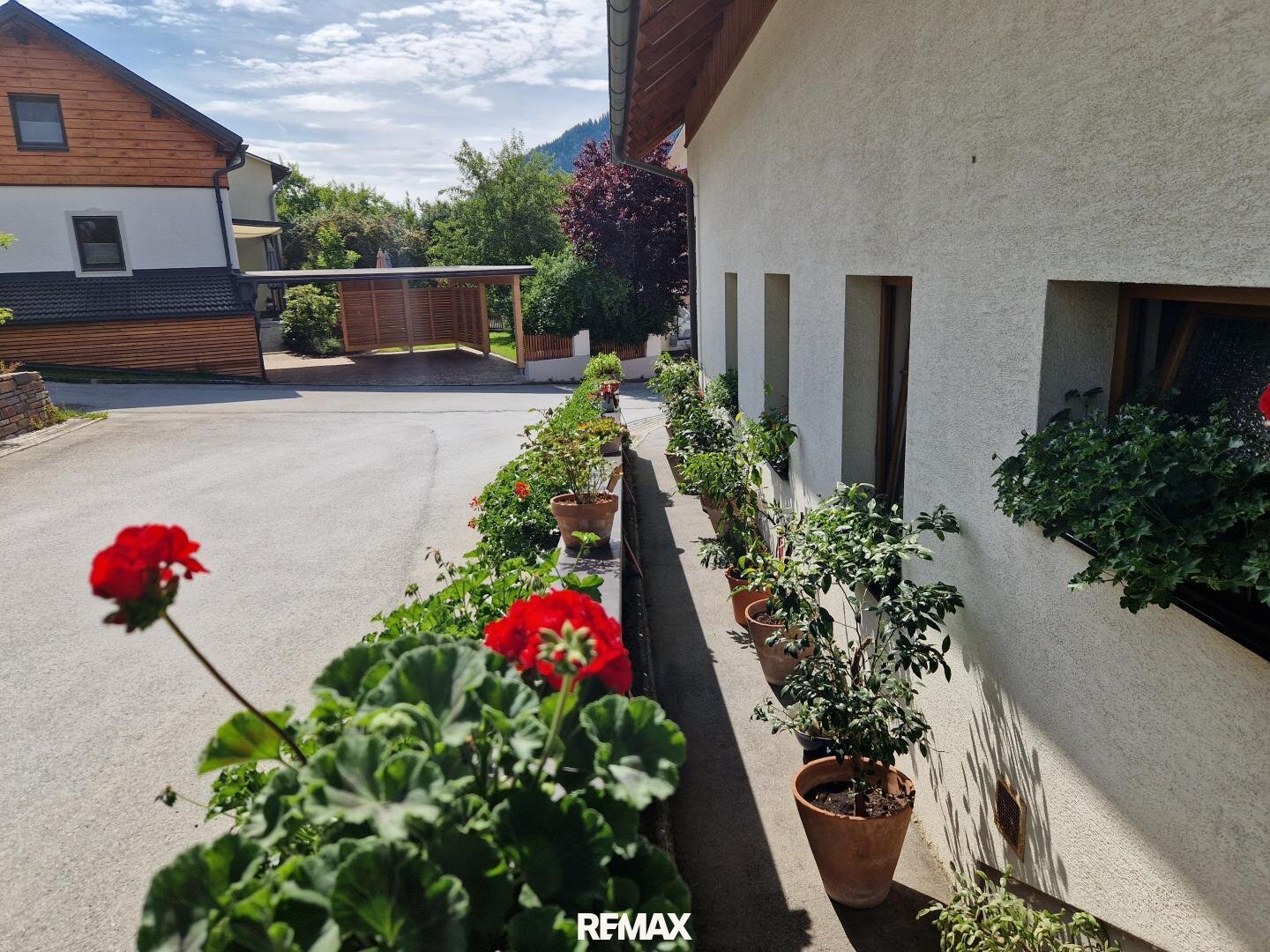 Immobilienfoto