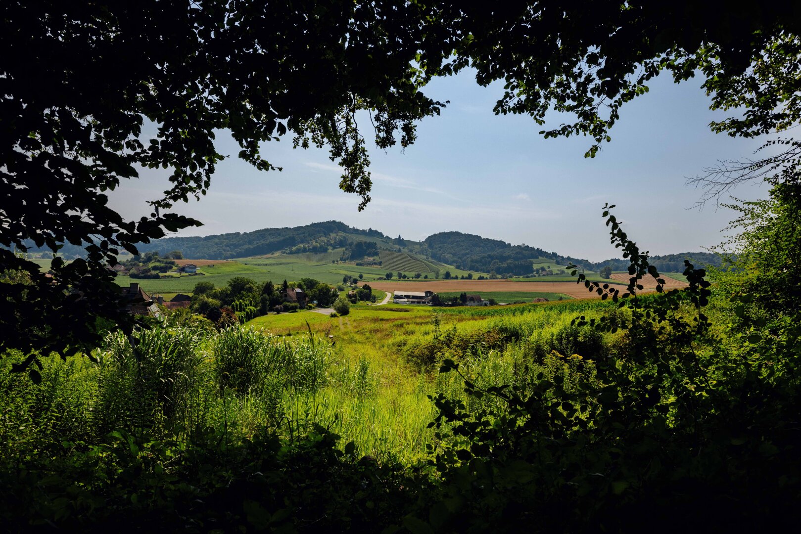 Sonniges Idyll am Waldrand: Ihr perfekter Bauplatz mit Panoramablick!