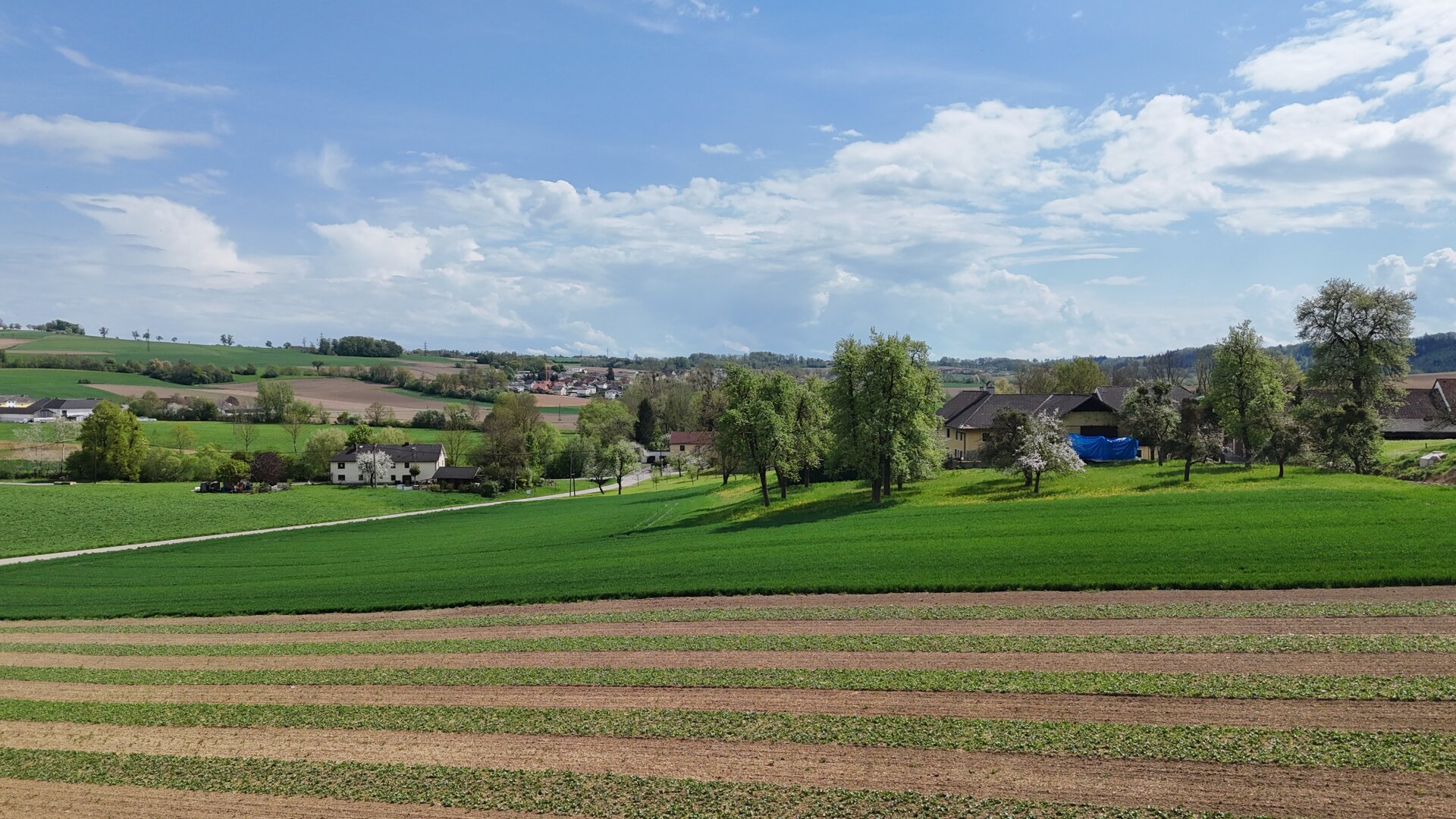 987 m² Bauland mit Widmung Dorfgebiet in Engerwitzdorf/Edtsdorf ohne Bauzwang