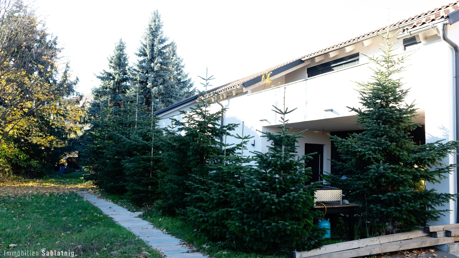 Immobilienfoto