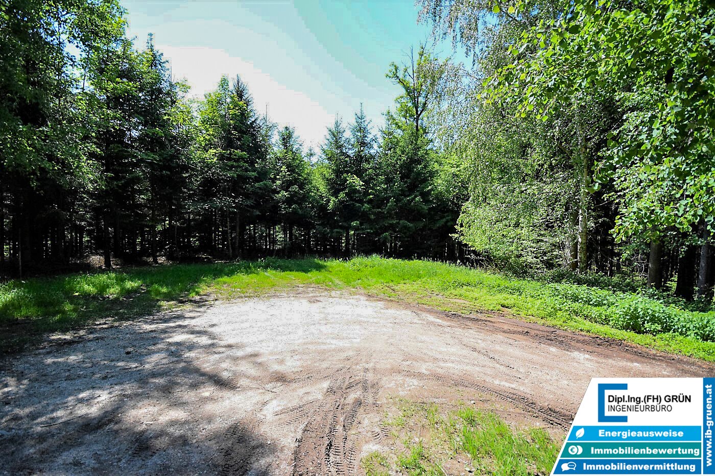 Bestens bewirtschafteter Wald (ca. 2,56 ha) mit Top-Zufahrt & Holzlagerplatz