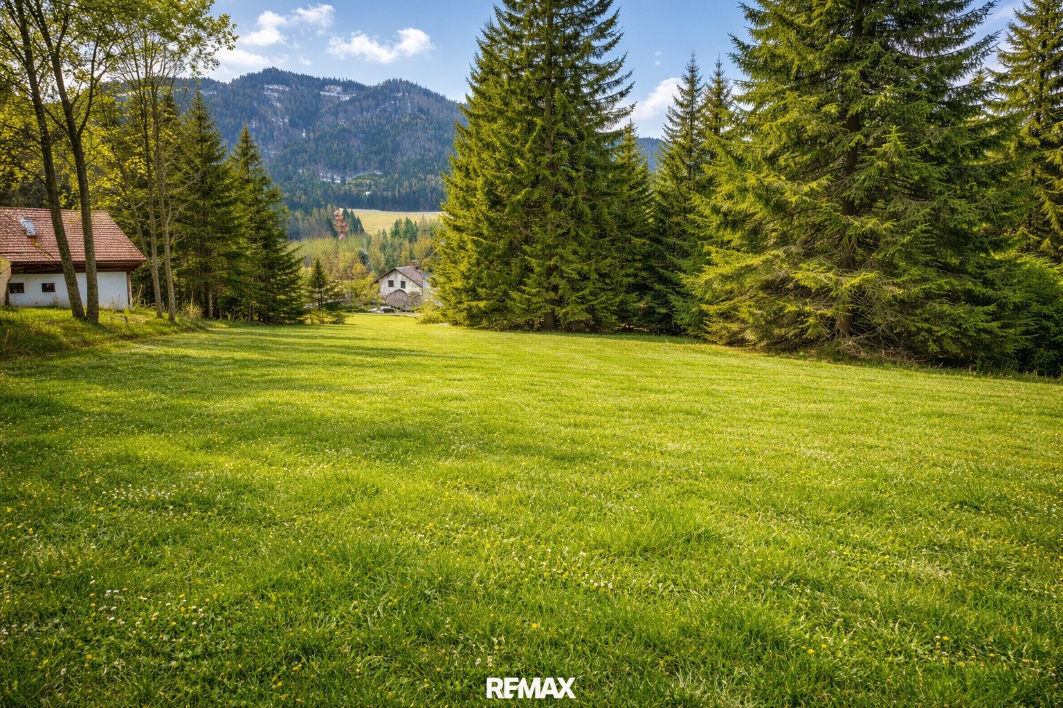 Immobilienfoto