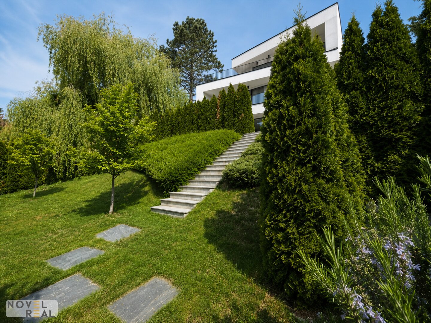 Immobilienfoto