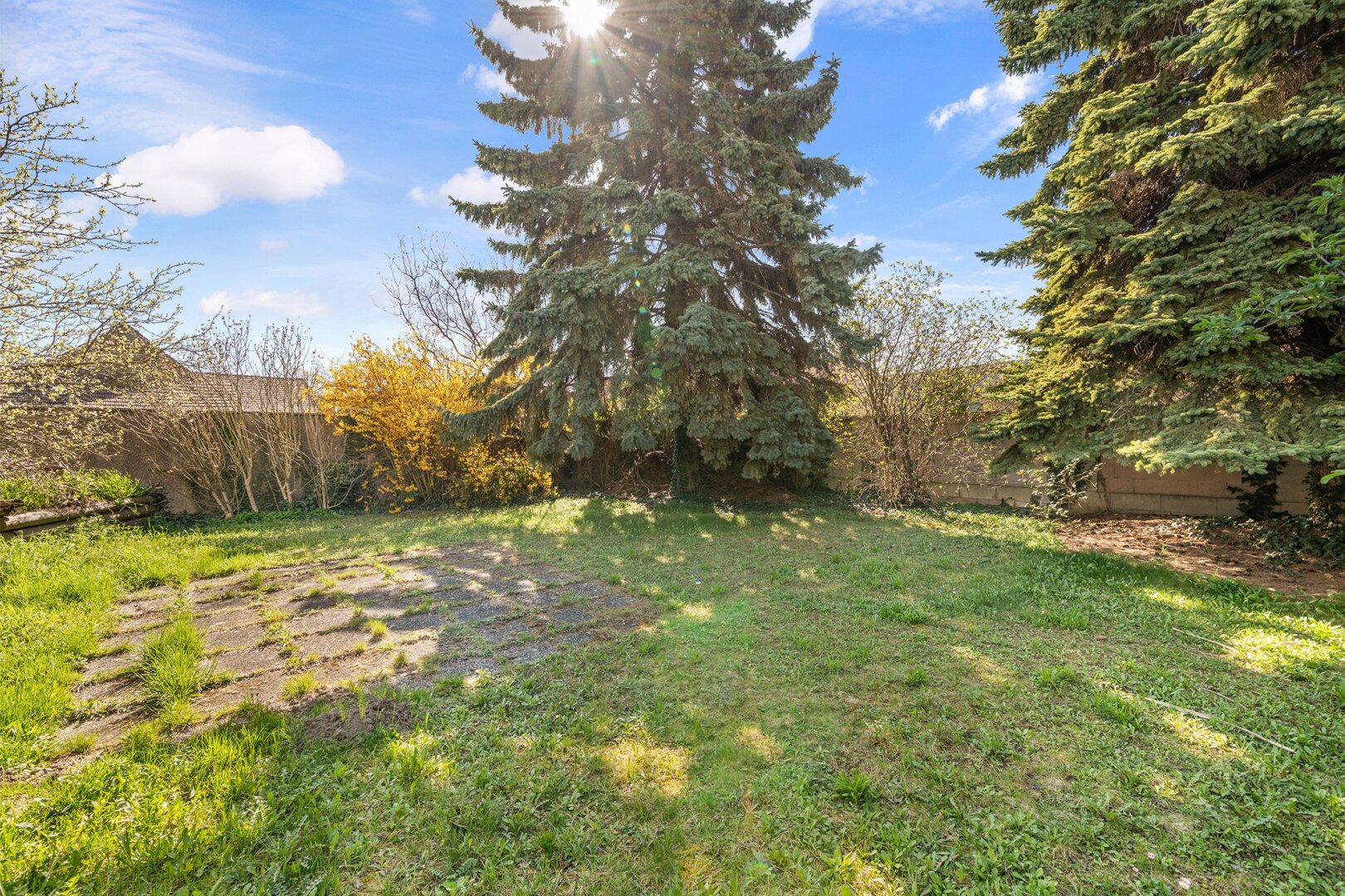 Immobilienfoto