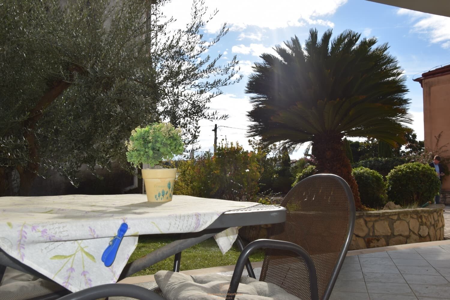 Immobilienfoto