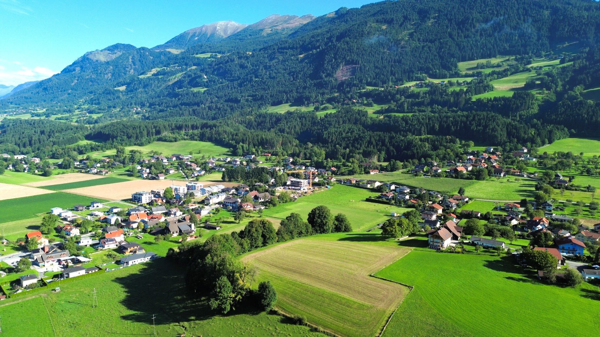 Immobilienfoto