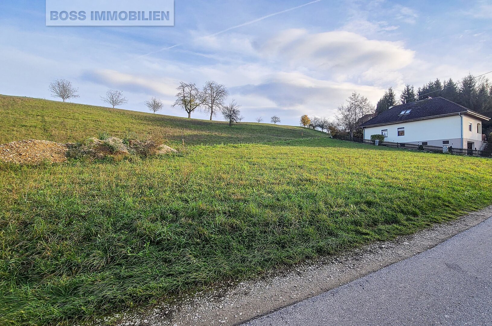 Immobilienfoto