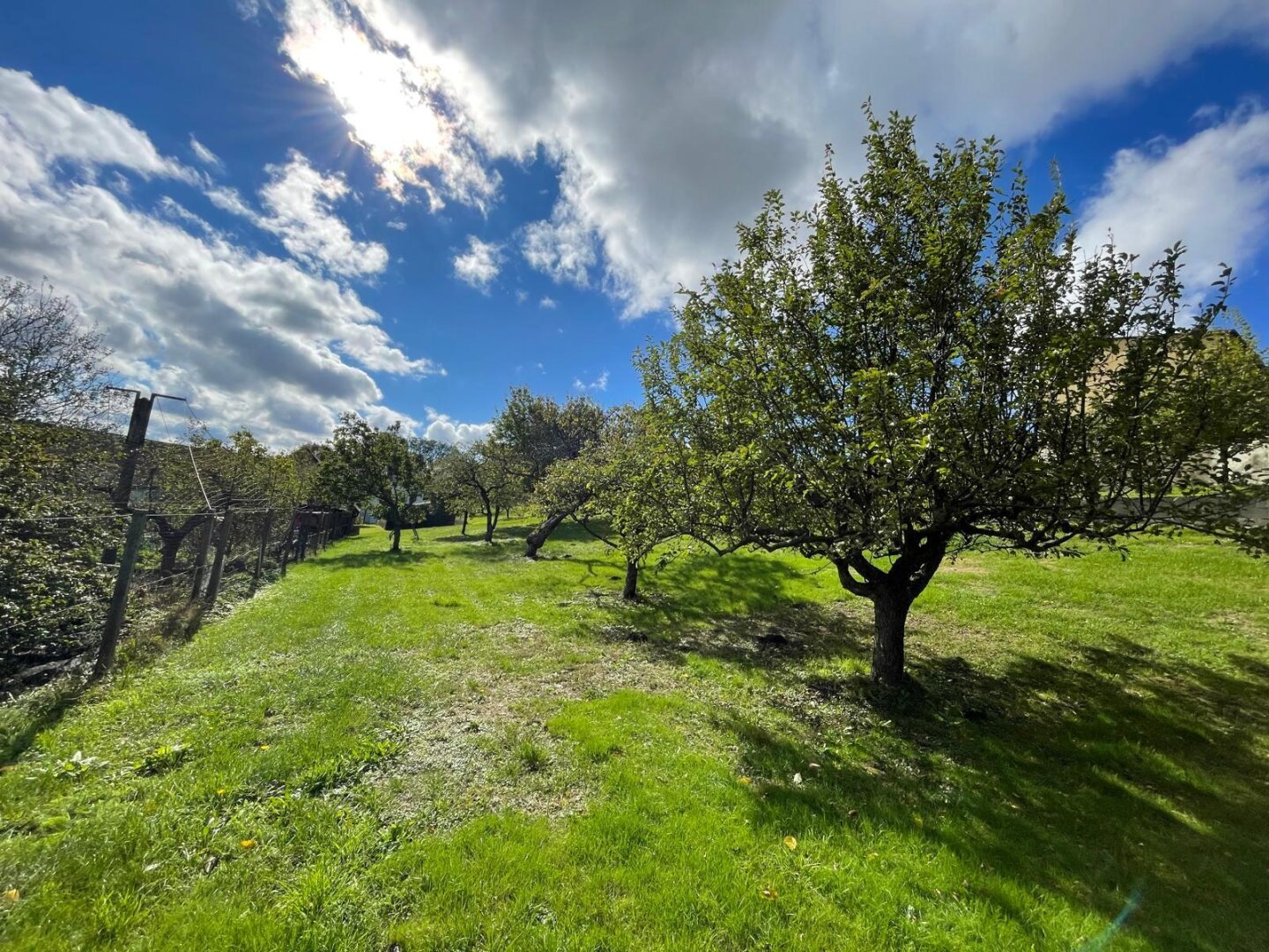 Immobilienfoto