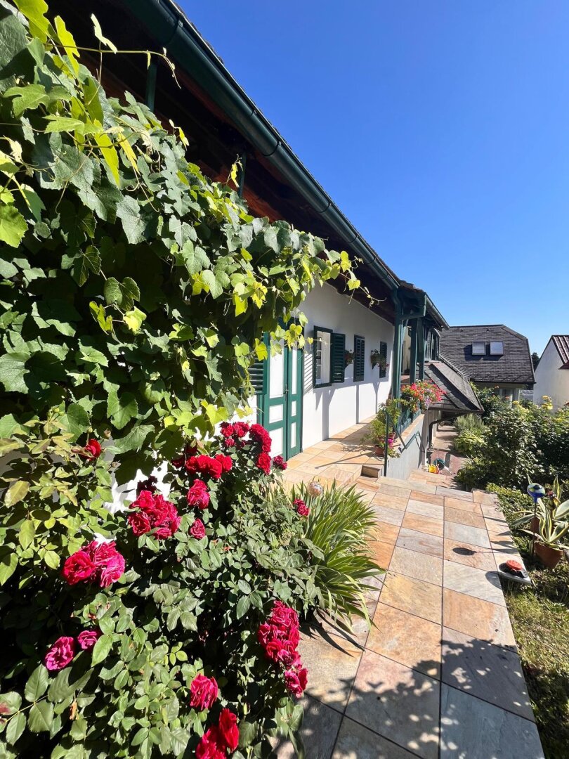 Immobilienfoto