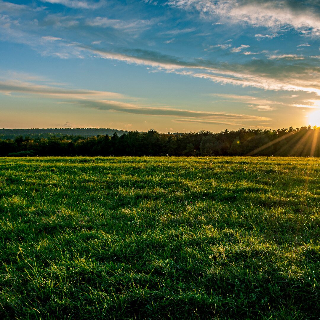 Ackerland in der Region 2620 – Ideale landwirtschaftliche Nutzfläche zu kaufen