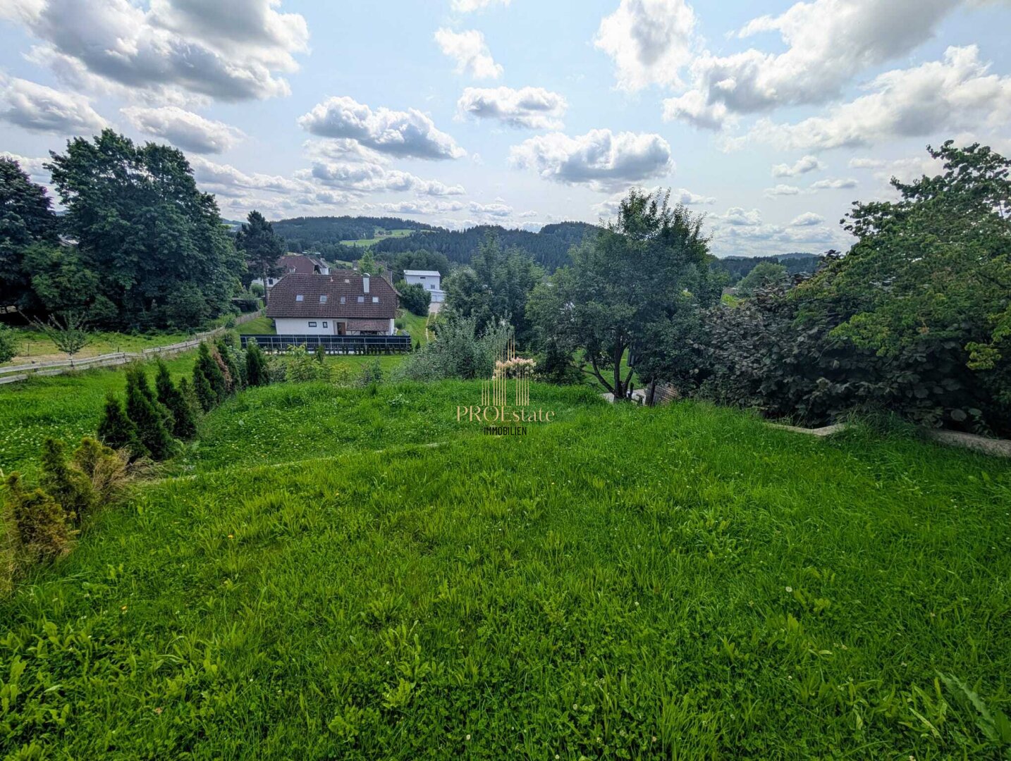 Immobilienfoto