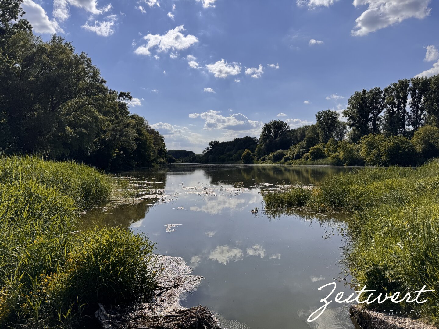 Immobilienfoto
