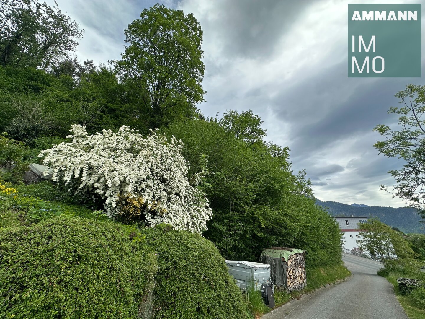 Immobilienfoto