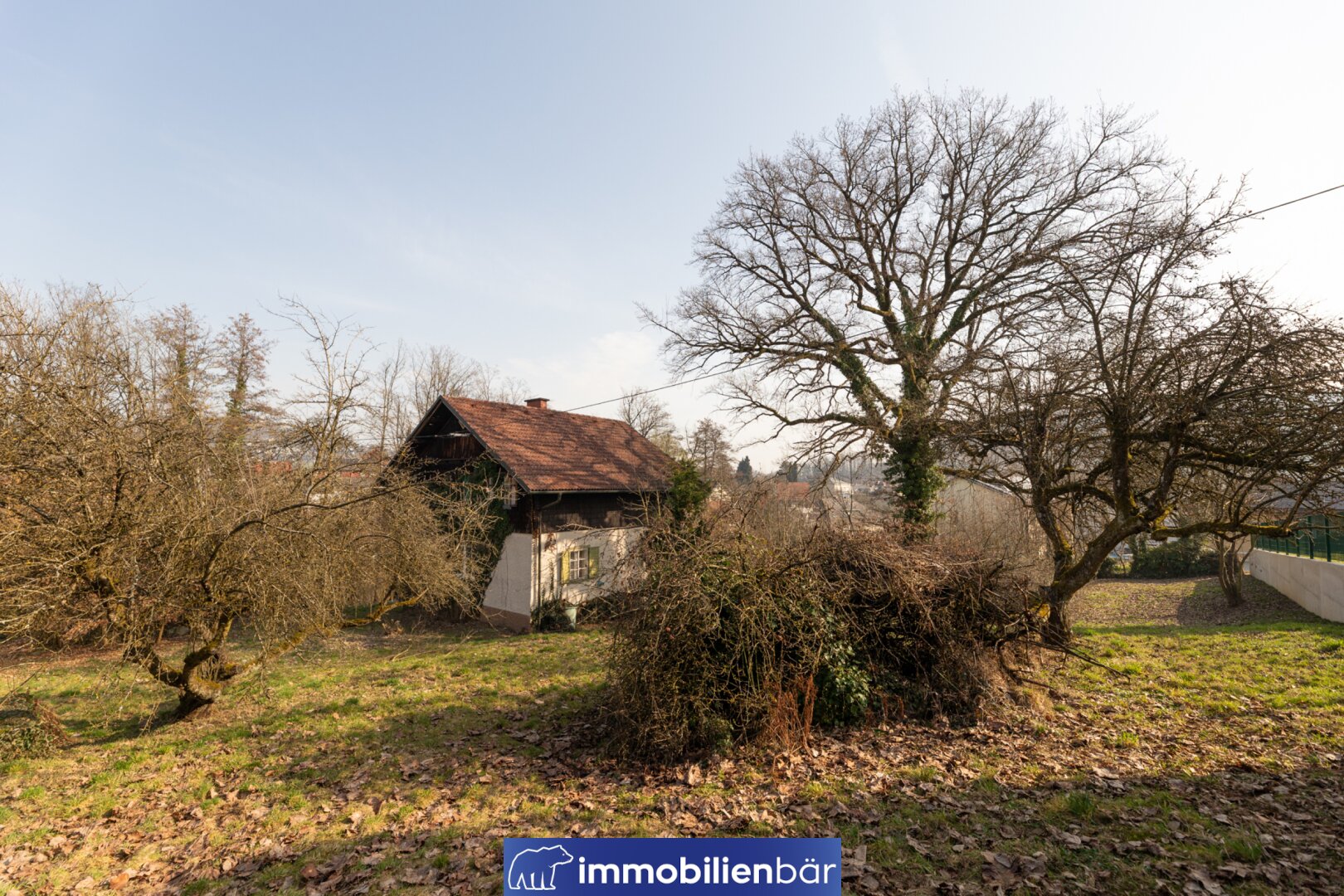 Immobilienfoto