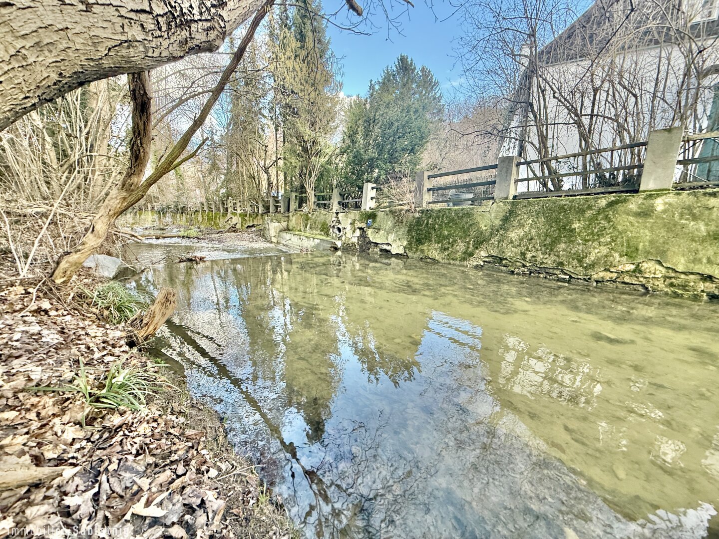 Immobilienfoto