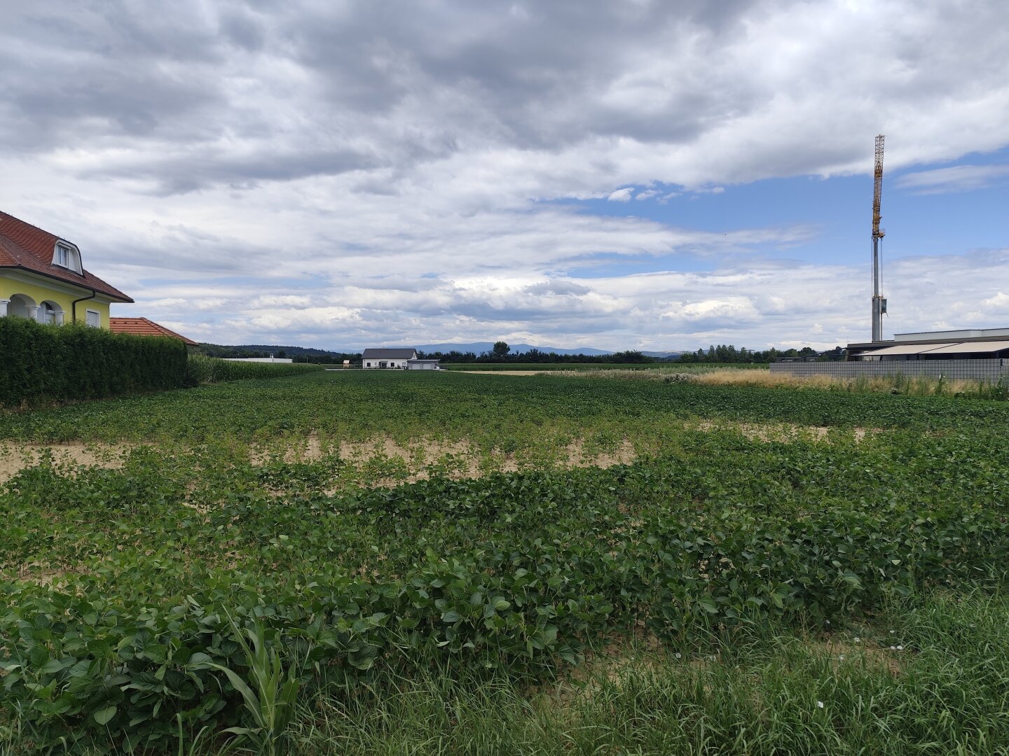 Immobilienfoto