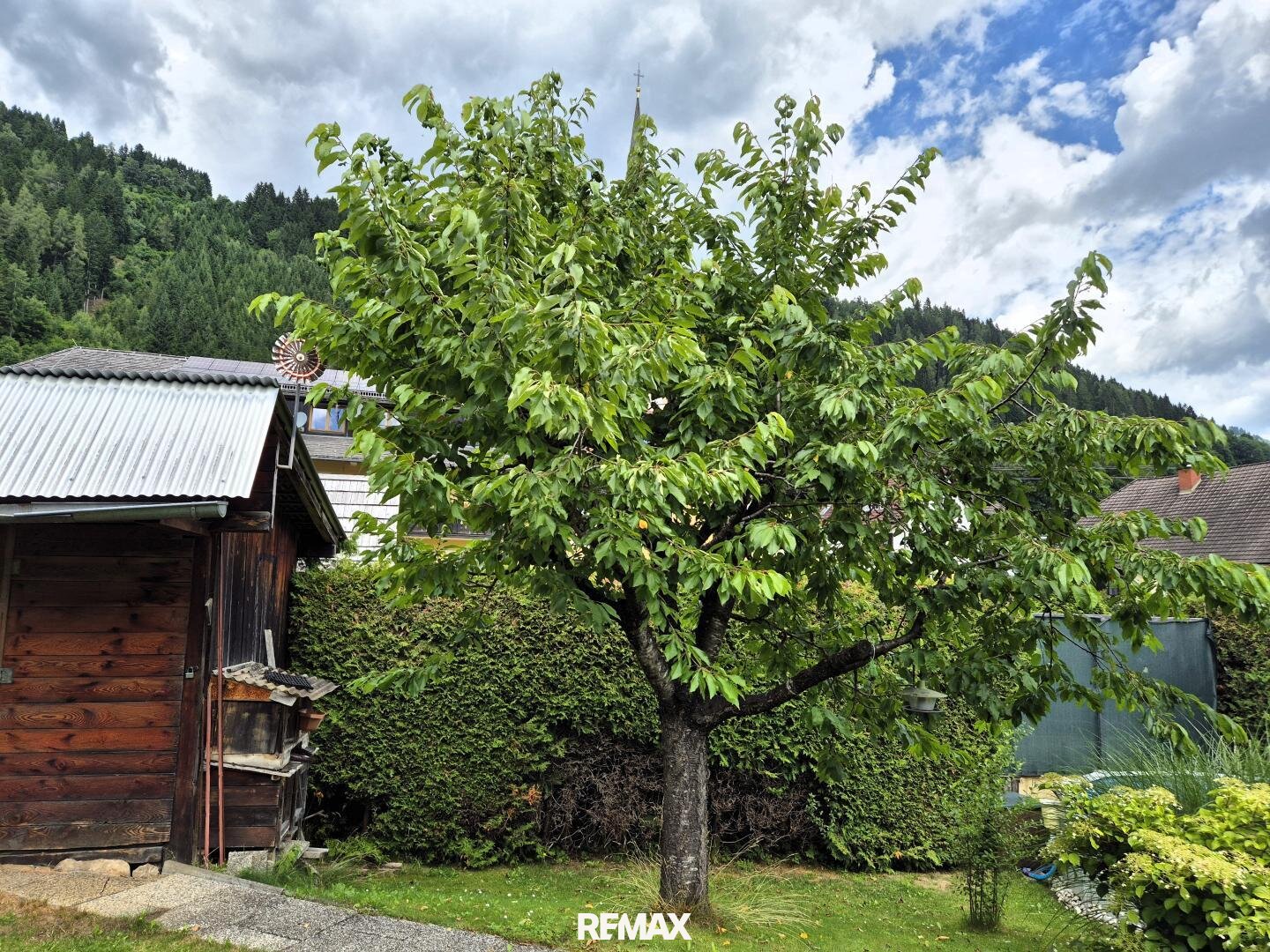 Immobilienfoto
