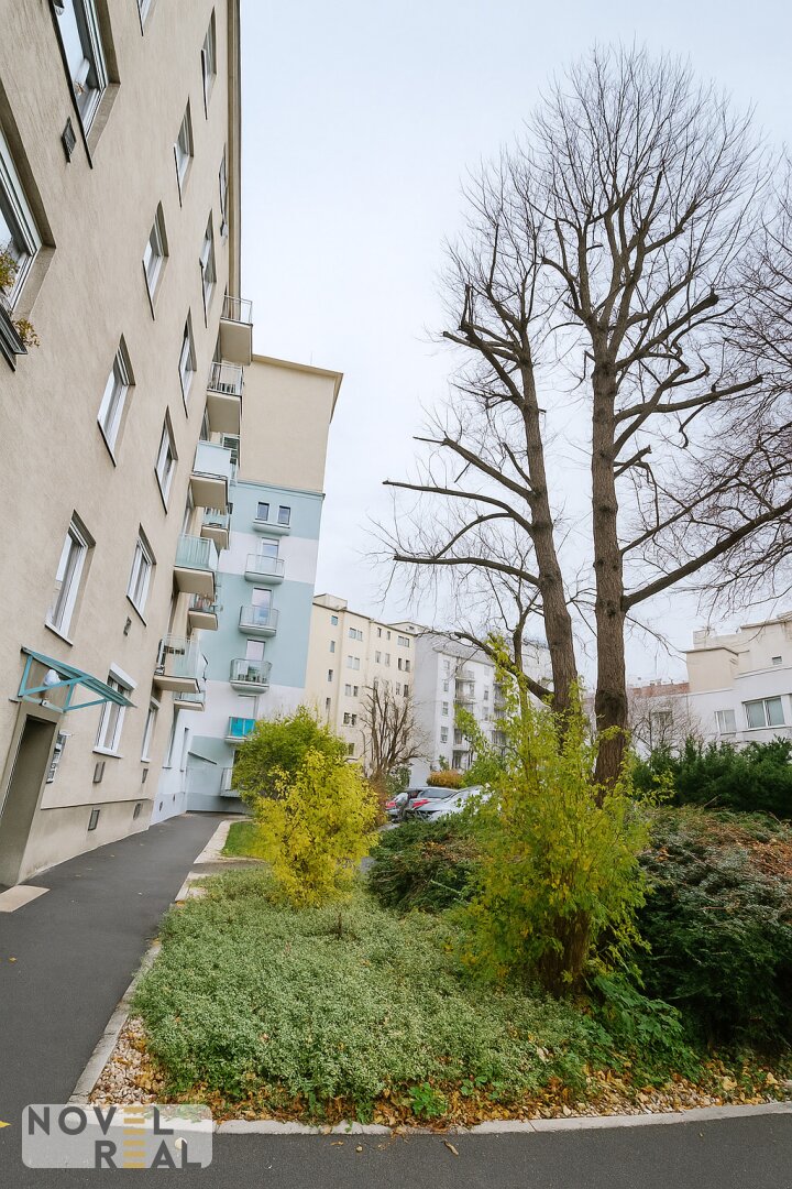 Charmante 3-Zimmer-Wohnung mit viel Licht – ruhig gelegen in Floridsdorf!