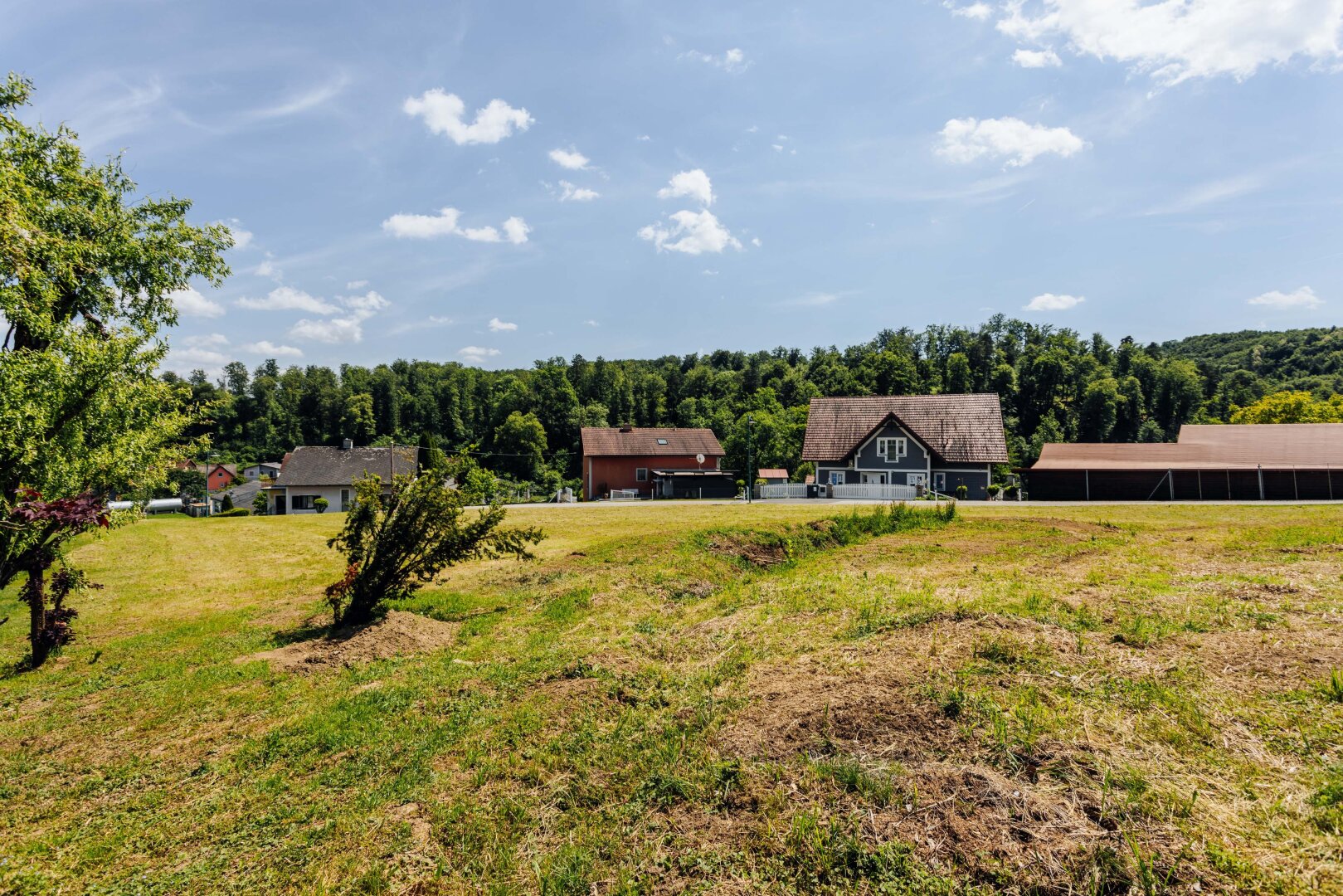 Immobilienfoto