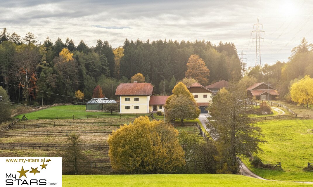 Immobilienfoto