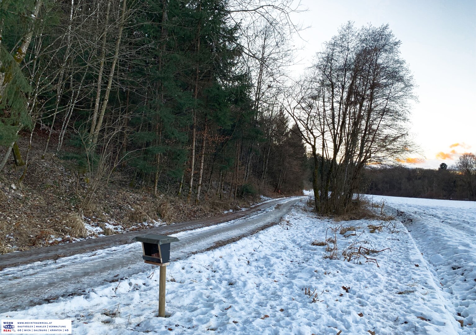 Immobilienfoto