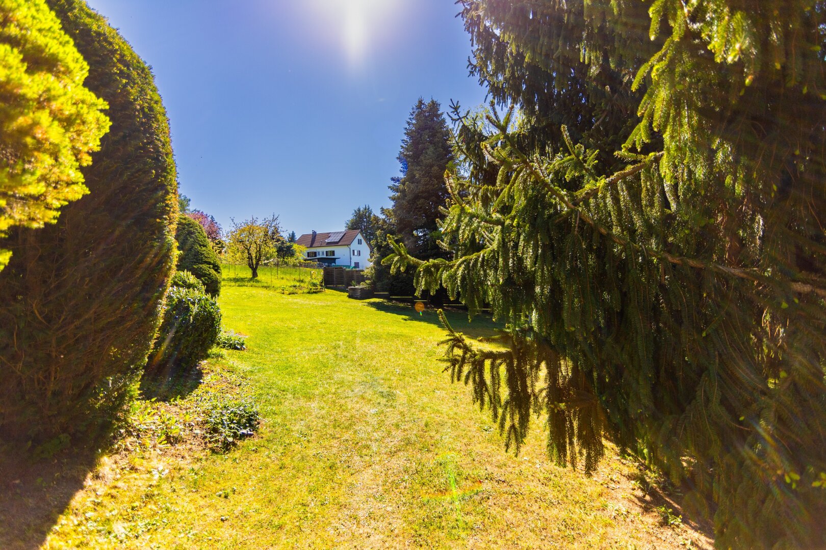 Immobilienfoto