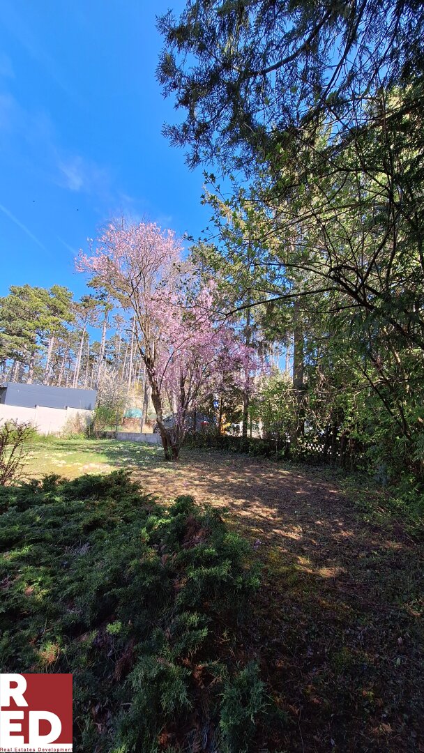 Verträumte Gartenidylle mit älterem  Einfamilienhaus Renovierungsbedarf