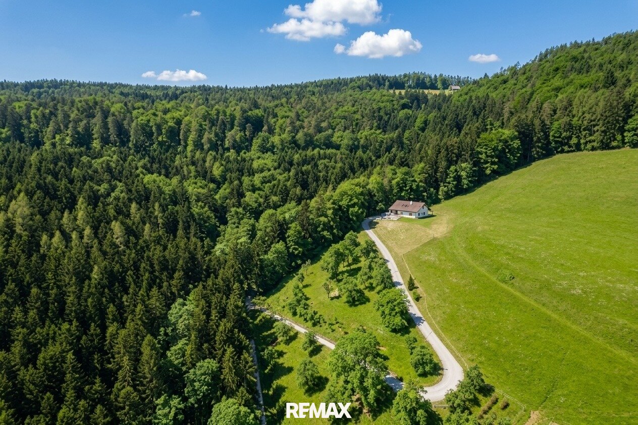 Immobilienfoto