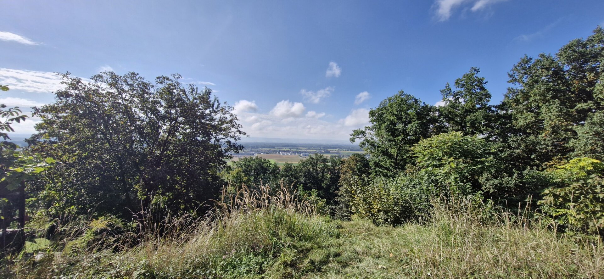 Wohnen mit Weitblick – Sechterberg 85, Feldkirchen an der Donau