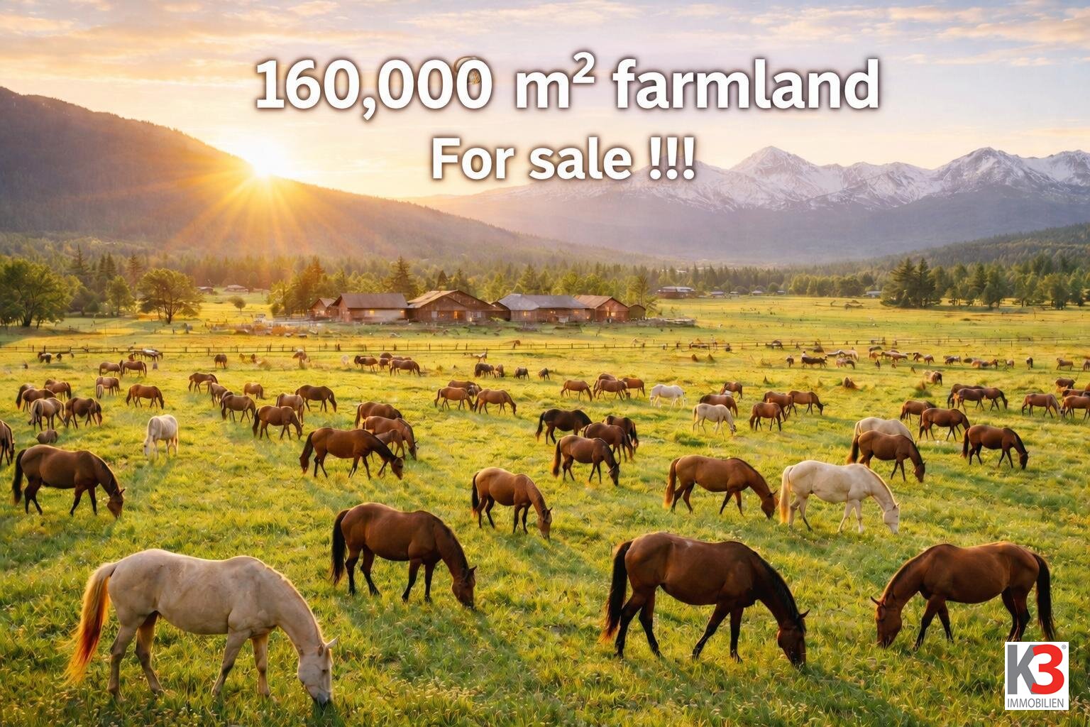 K3 - Nähe Bad Füssing  - alter 4 - Seitenhof - ca. 150.000m² flache landwirtschaftliche Fläche - perfekt für PFERDEZUCHT - HALTUNG!!!! PANORAMALAGE - arrondiert!