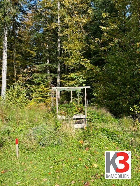 K3 - Auf diesem Baugrund in Koppl könnte bald Ihr neues Eigenheim stehen! Stadtnahes Naturparadies!