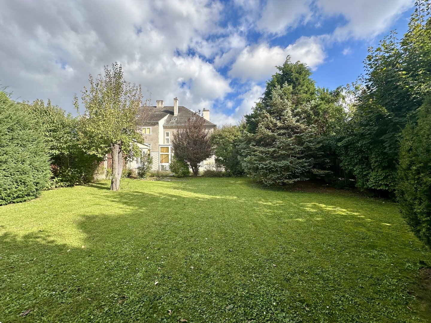 Immobilienfoto