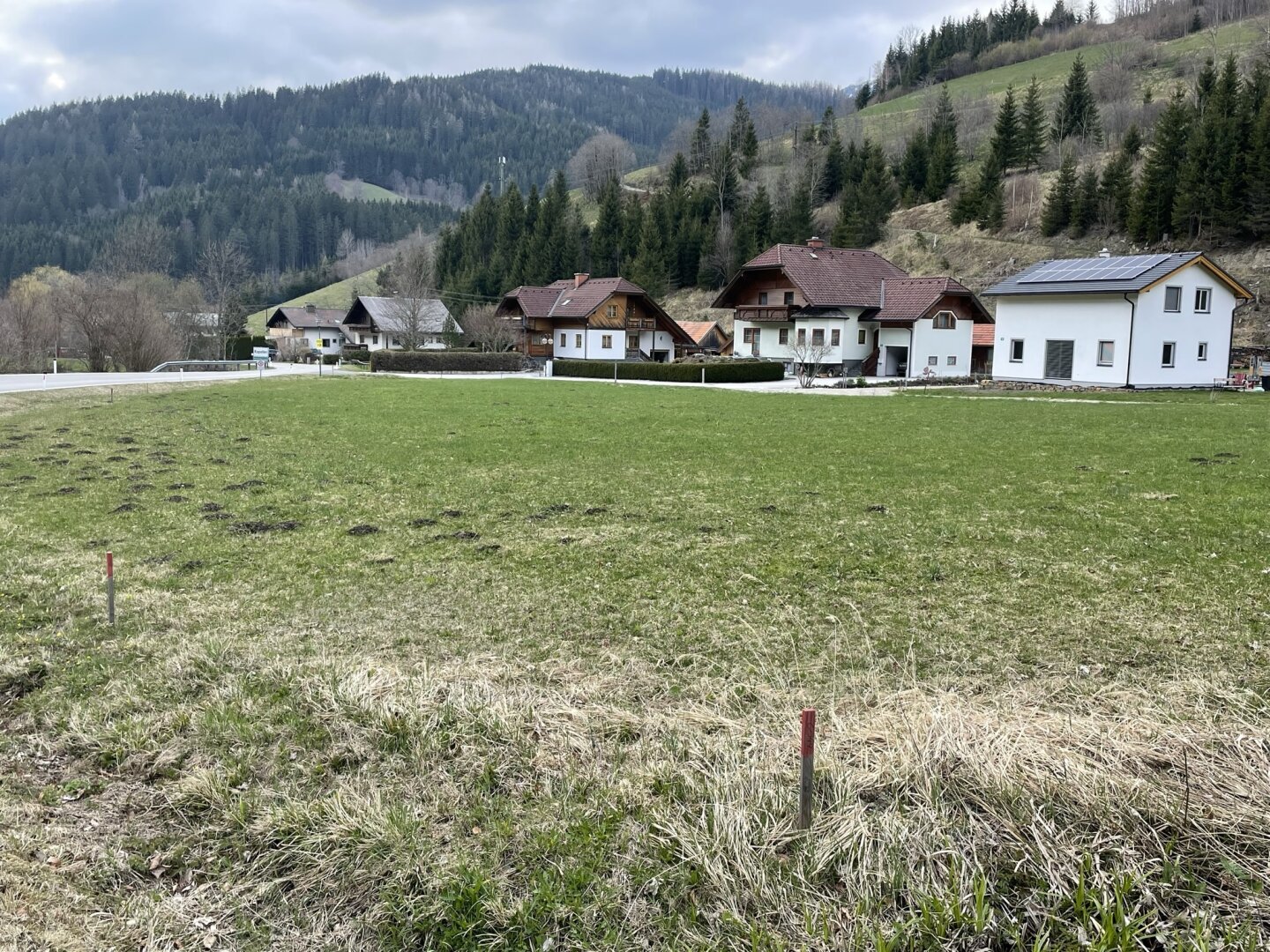 Immobilienfoto