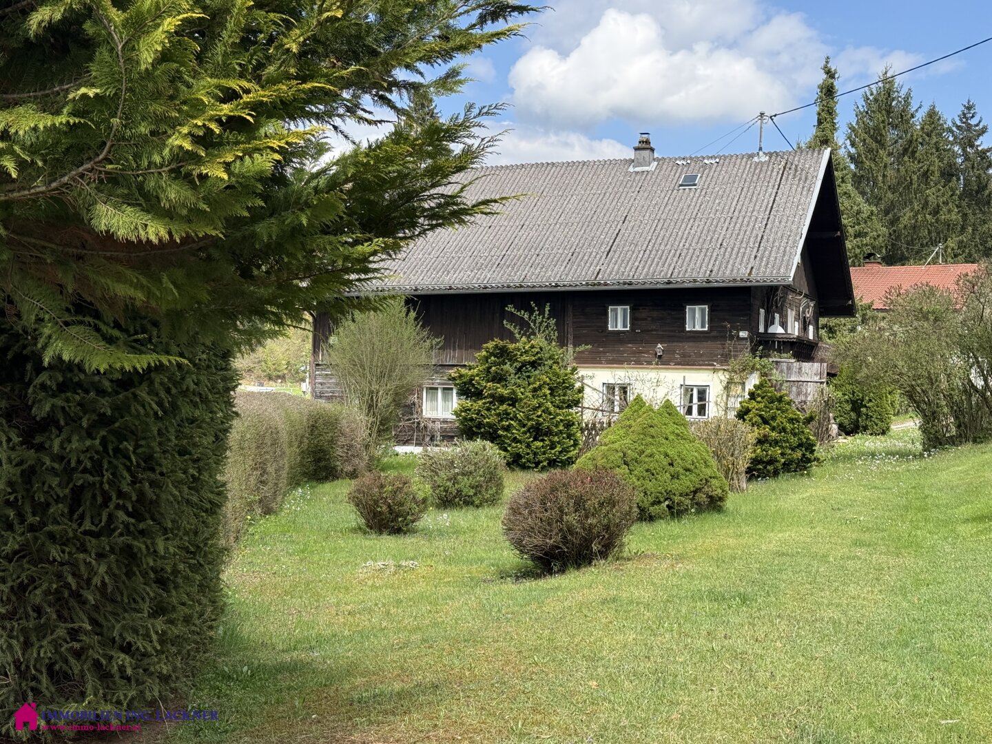 Immobilienfoto