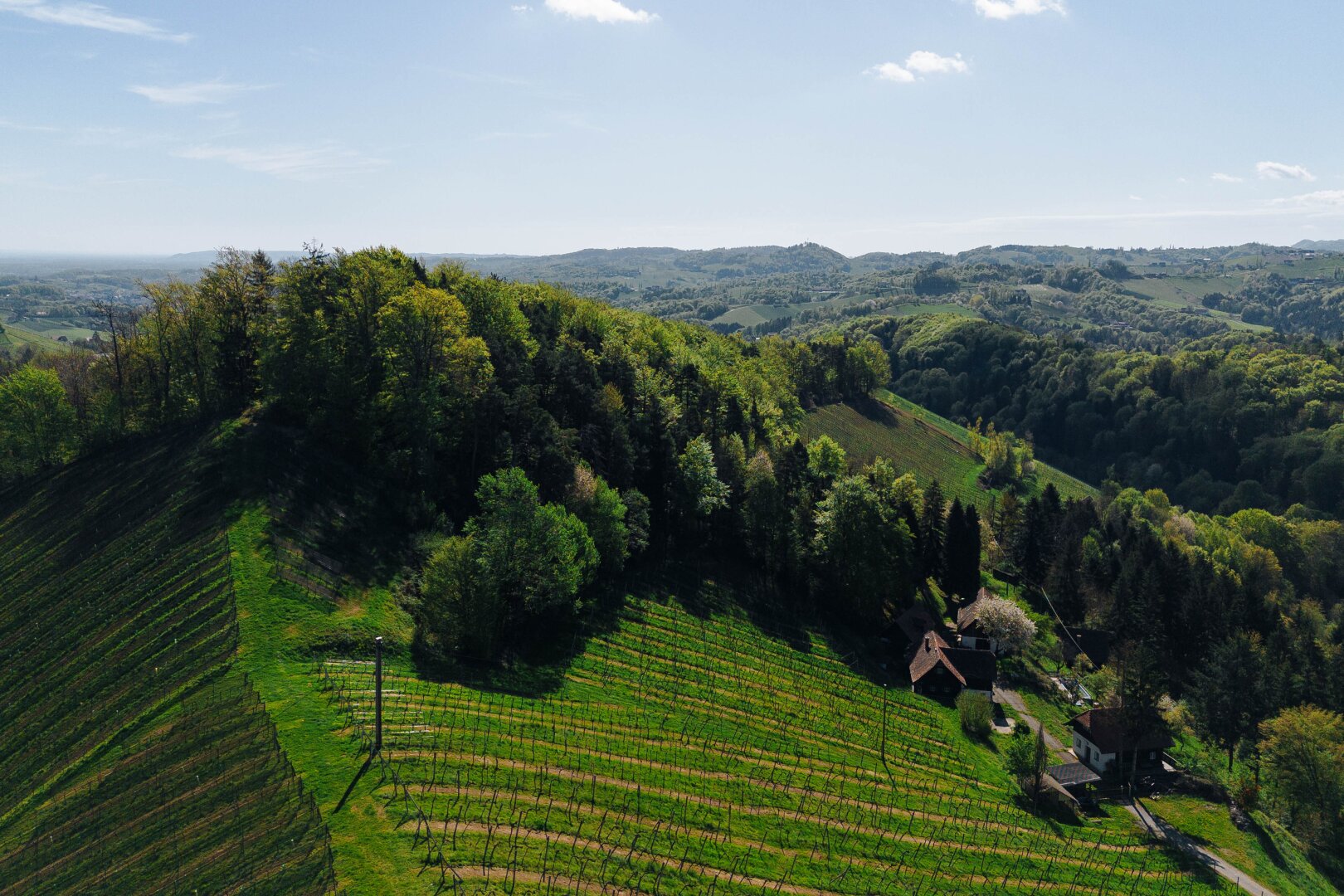 Außergewöhnliche Liegenschaft im Weinparadies – Ihre Visionen werden Realität!