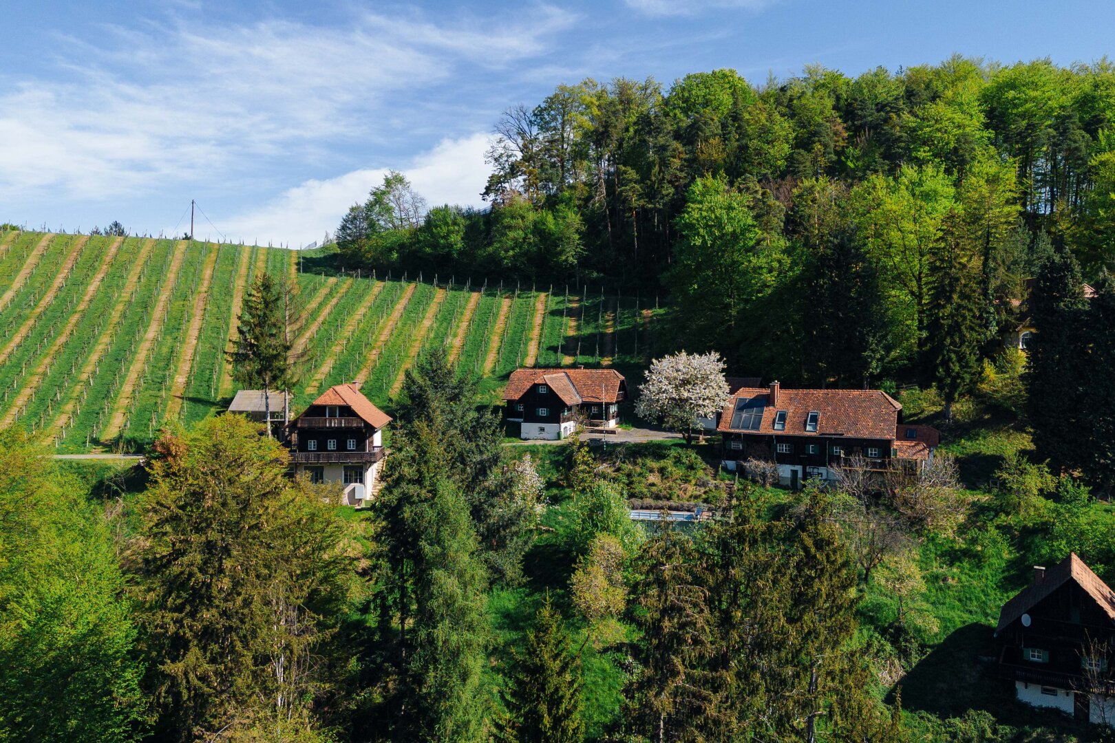 Immobilienfoto