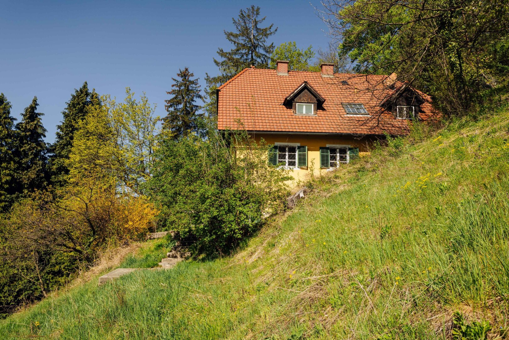 Immobilienfoto