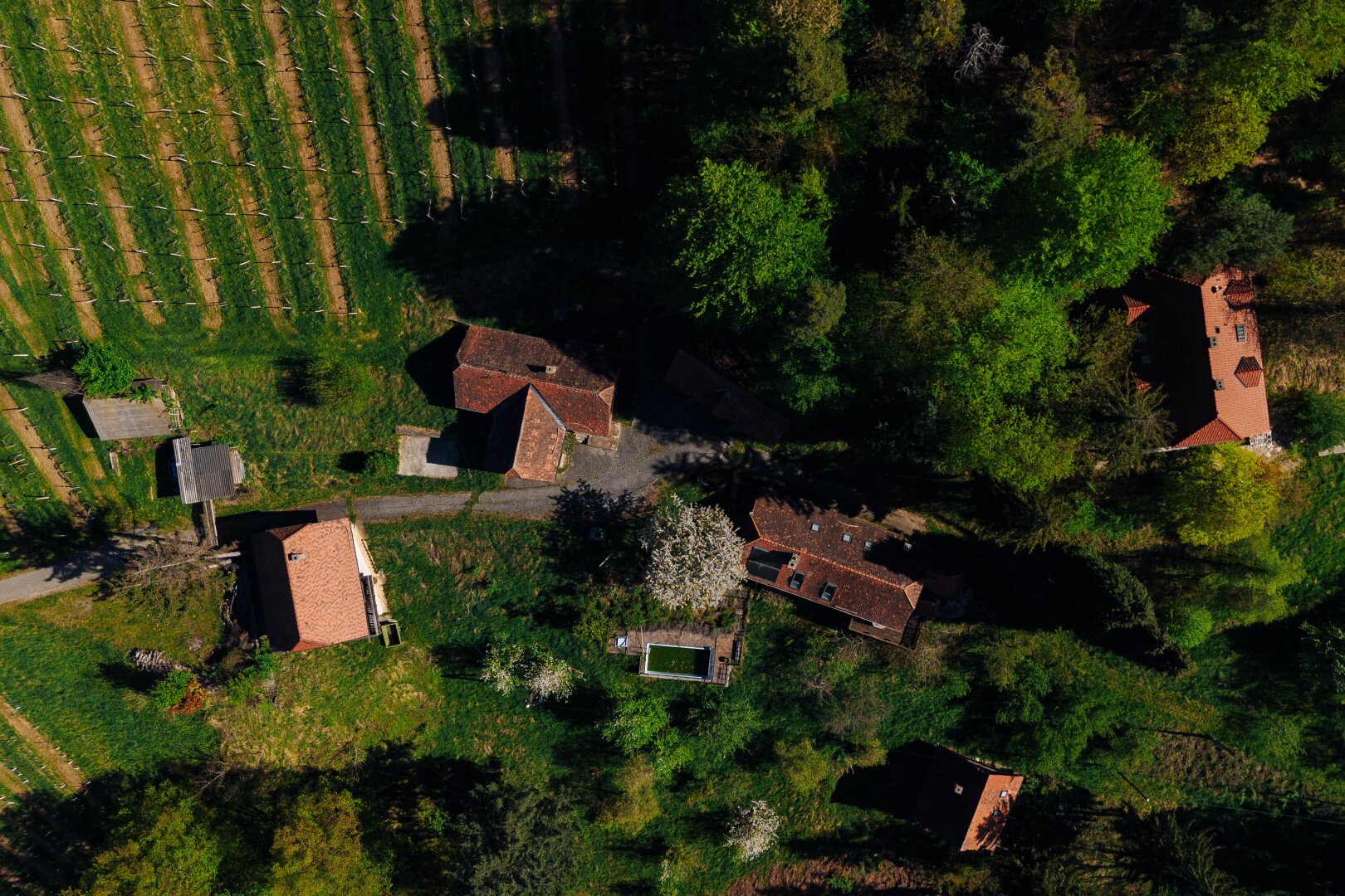 Immobilienfoto