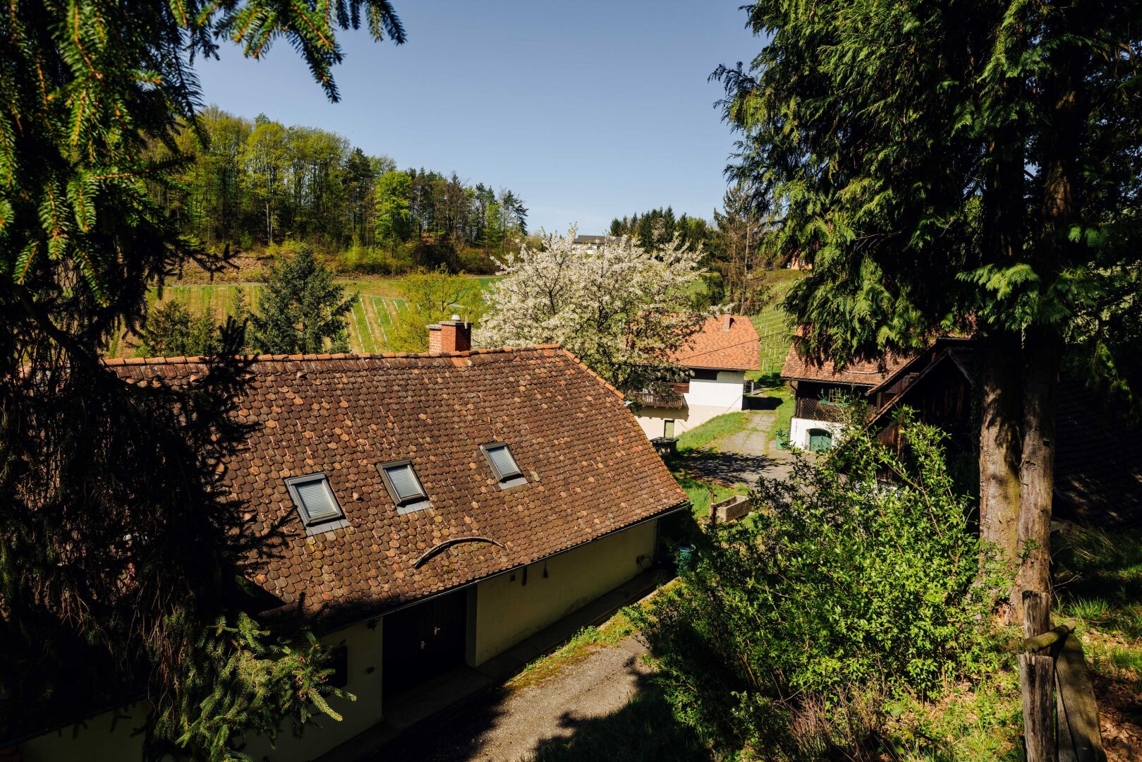 Immobilienfoto