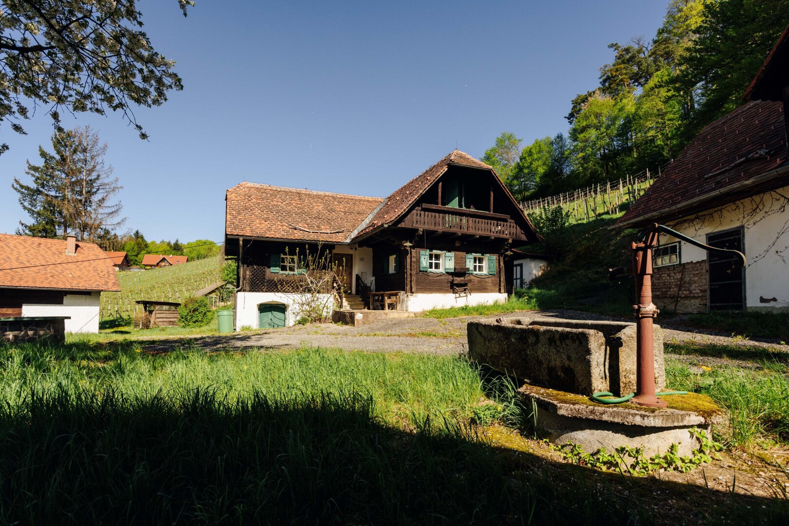 Immobilienfoto