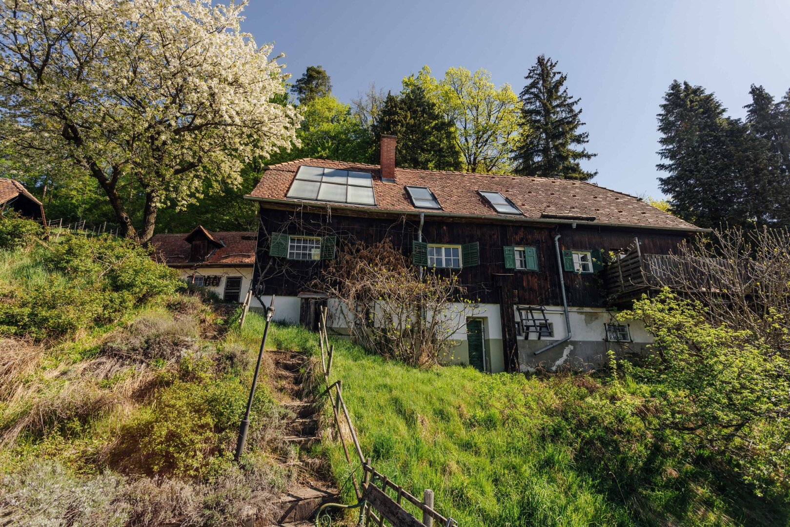 Immobilienfoto