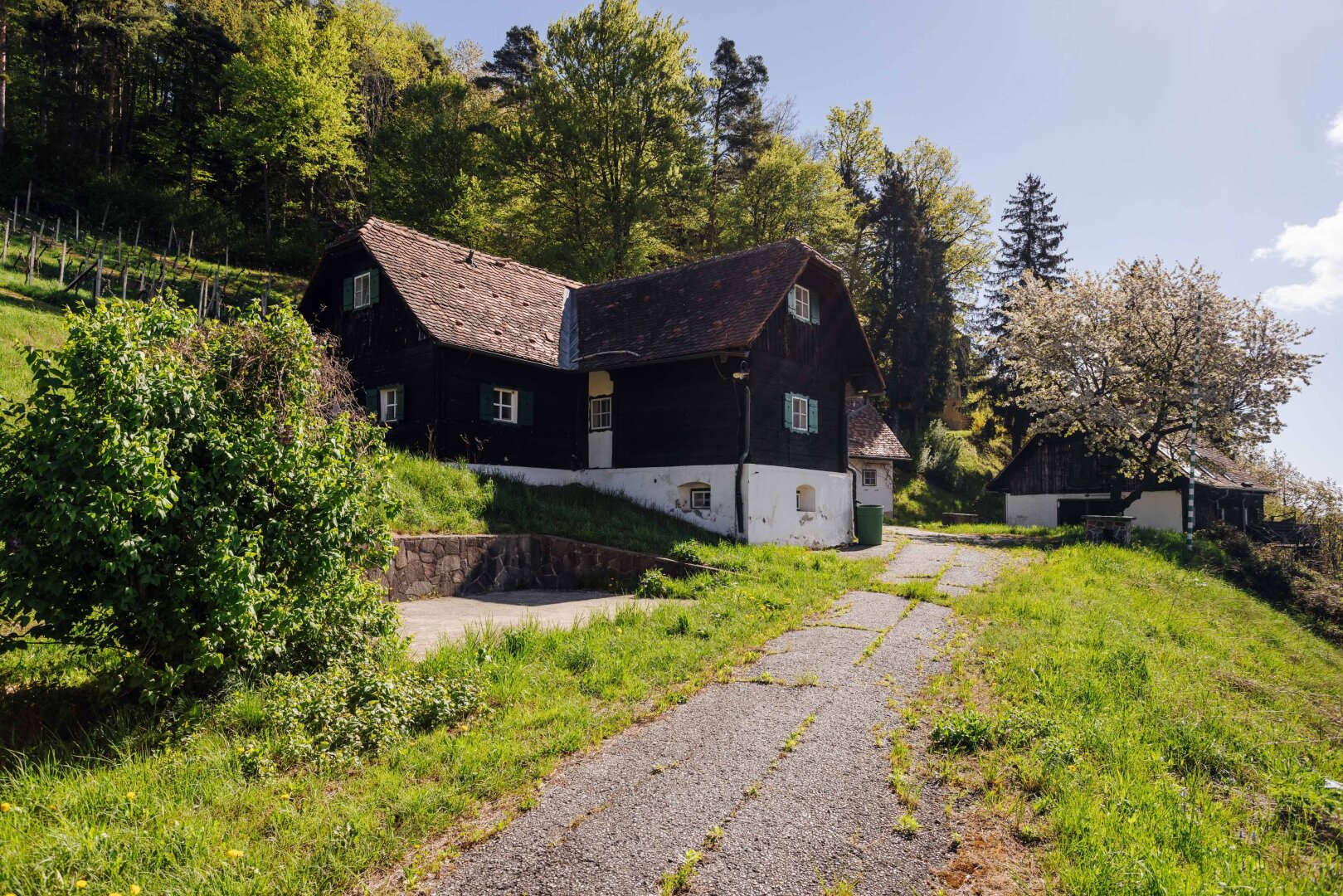 Immobilienfoto
