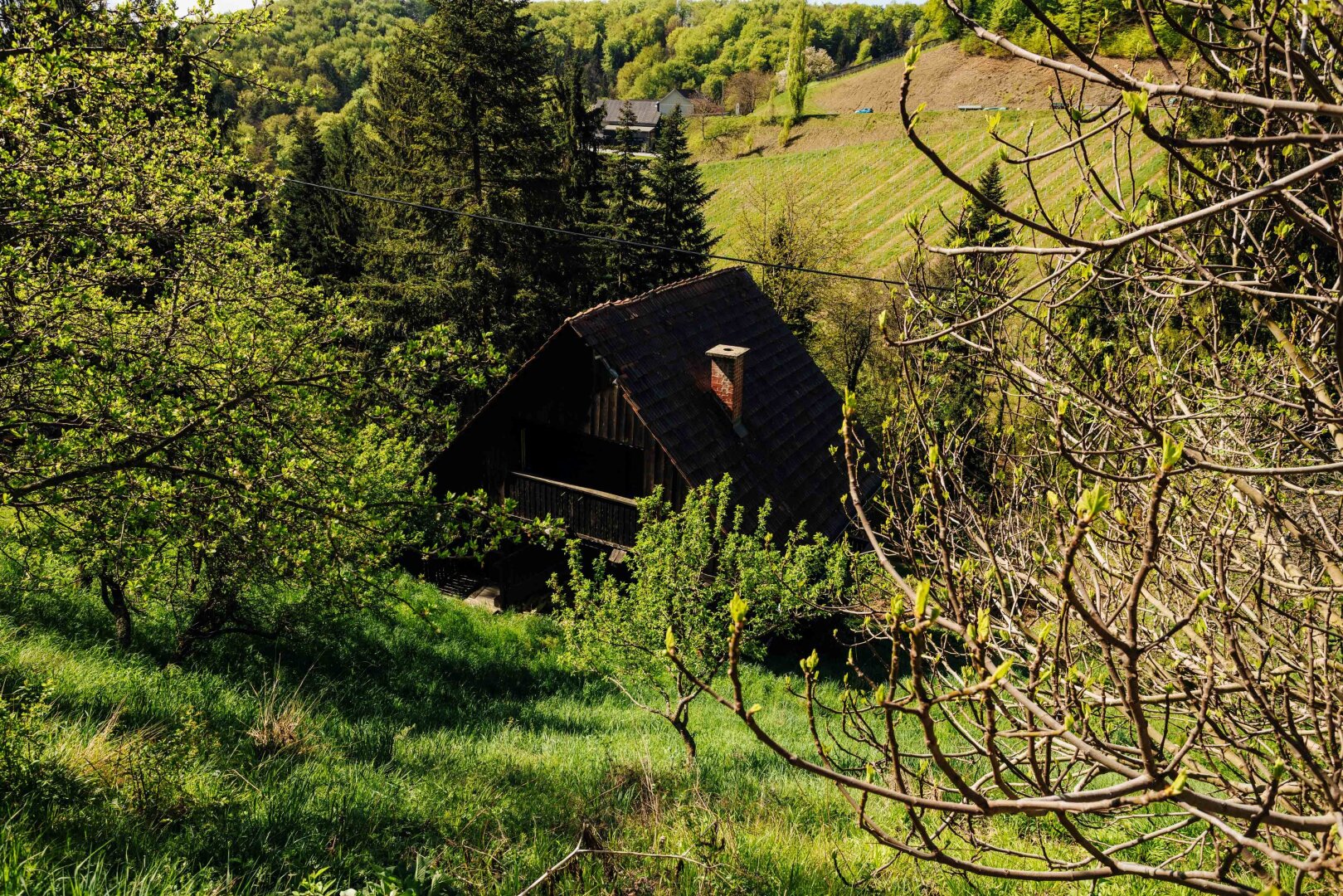 Immobilienfoto