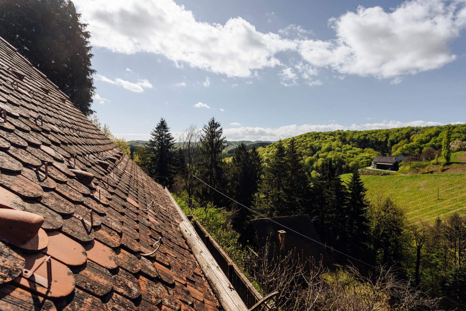 Immobilienfoto