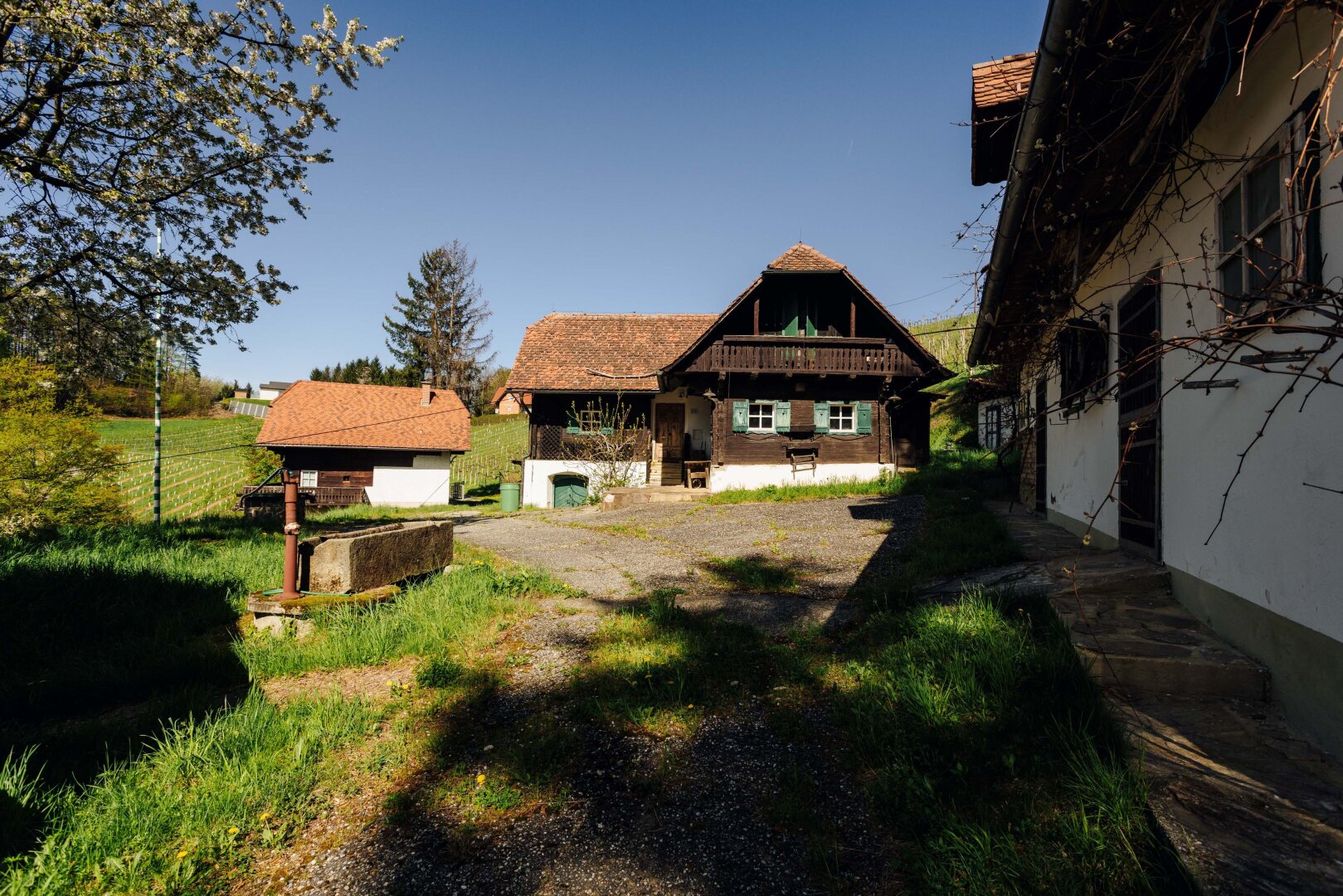 Immobilienfoto